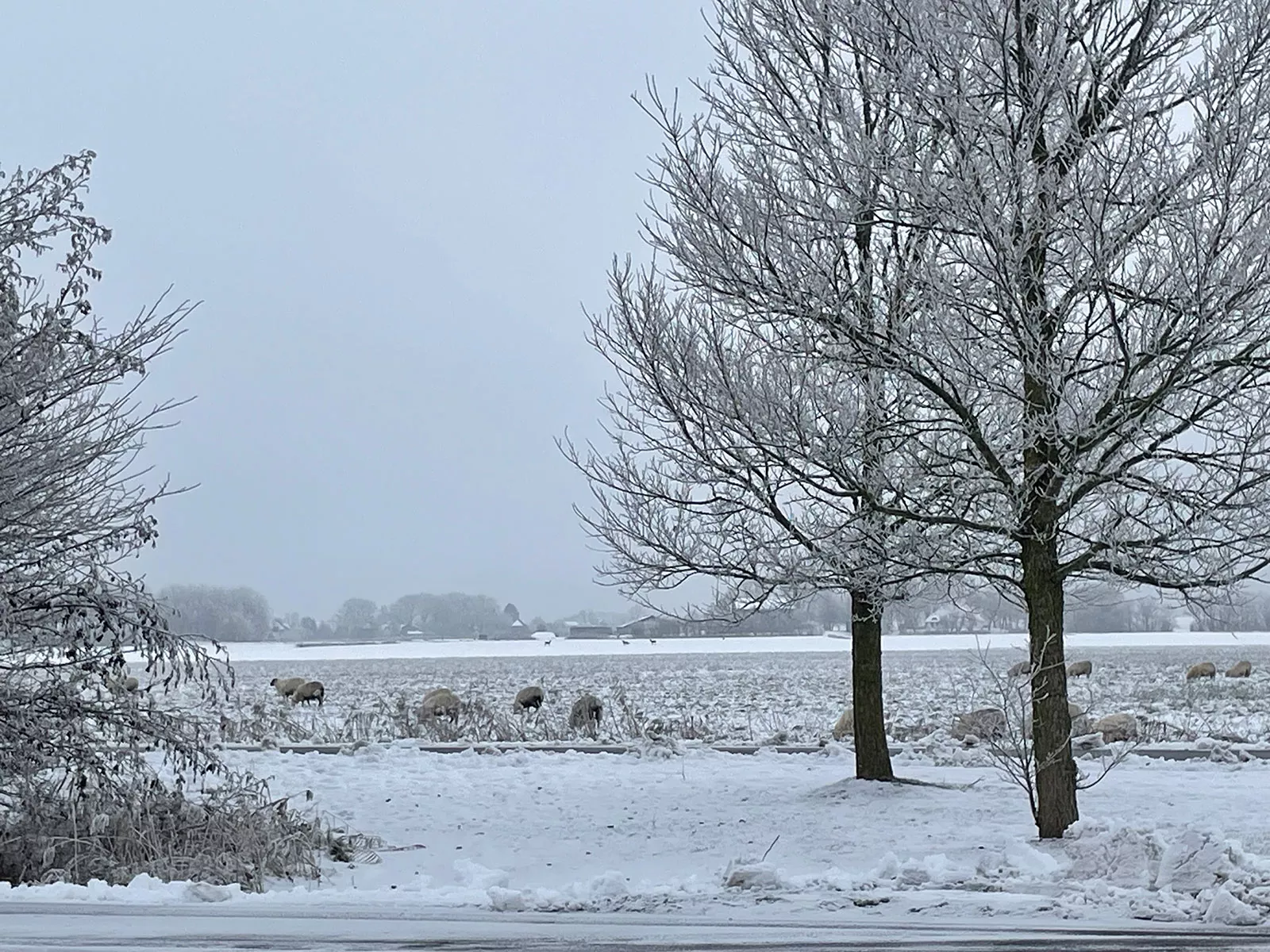 Ferienhaus Deichsonne – Winterlandschaft vom Wohnzimmer aus gesehen, Urlaub an der Nordsee
