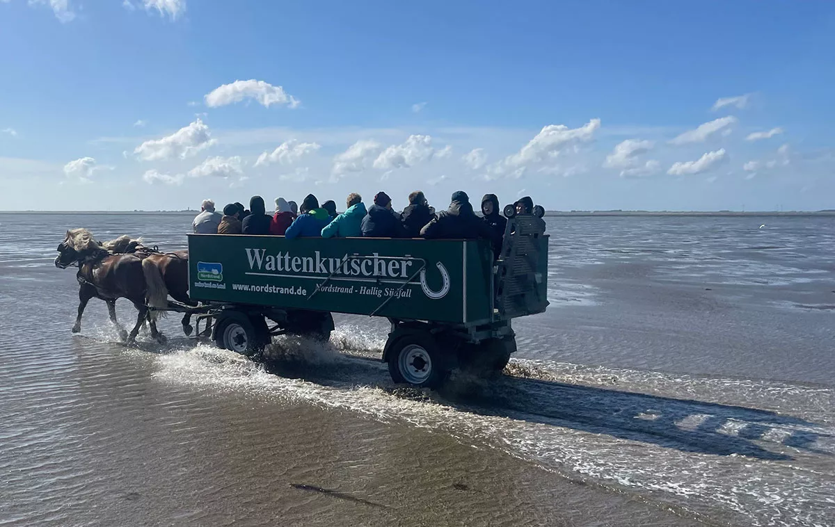 Ausflug durchs Wattenmeer zur Hallig Südfall - ein Erlebnis im Nordseeurlaub