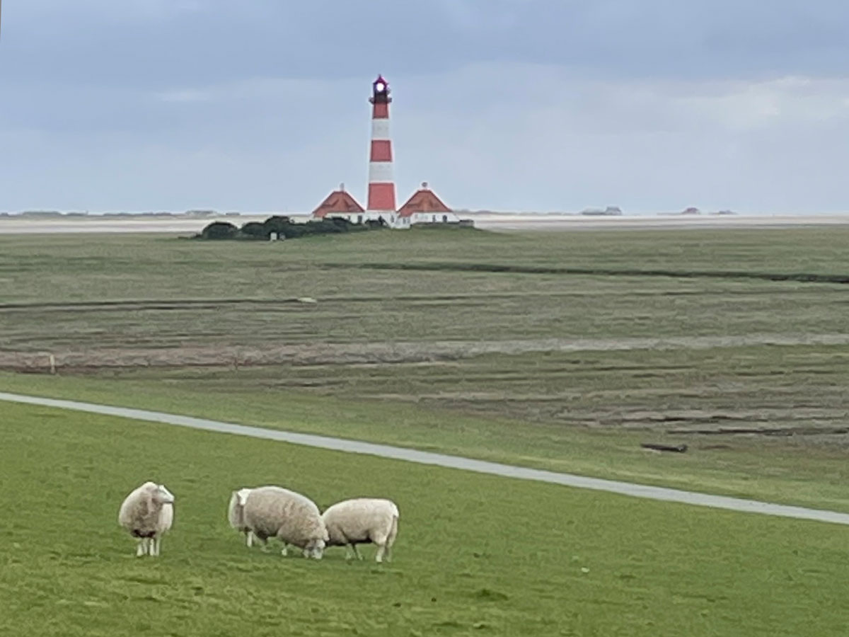 St. Peter-Ording entdecken: hier der Leuchtturm Westerhever mit Schafen im Vordergrund St. Peter-Ording entdecken: hier der Leuchtturm Westerhever mit Schafen im Vordergrund
